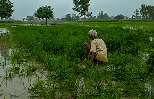 Home climate change and agriculture