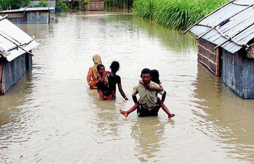 Home disaster preparedness and response